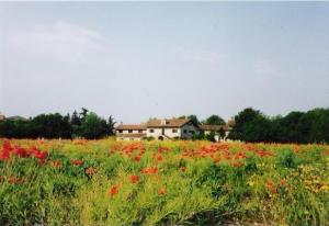 Villanova d'insieme